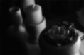 /album/fr-galleria-fotografica/fr-foto13-jpg/